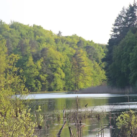 In Near Amber Baltic Golf